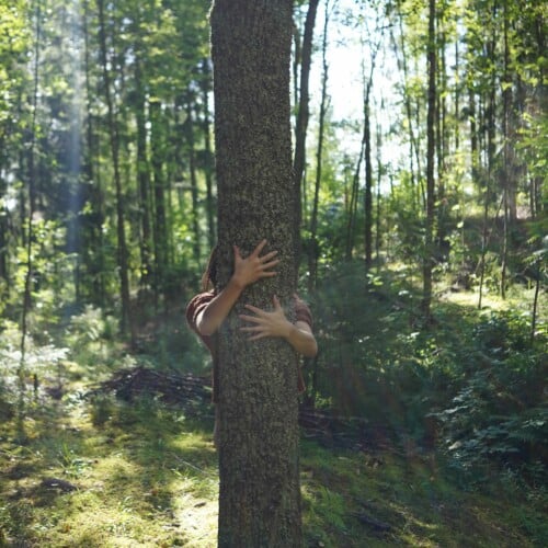 Roots Rebirth: yoga retreat (full)